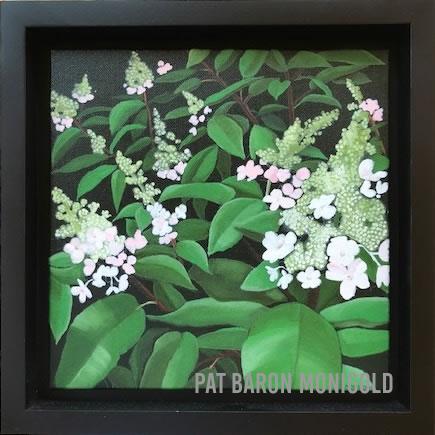 Hydrangea from the Series Garden Celebs, 12 x 12 inches, Oil on Canvas