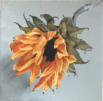 Sunflower 8 x 8 inches Oil on Canvas